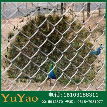 厂家直销勾花网 不锈钢勾花网 镀锌钩花网 环连网 涂塑PVC勾花网