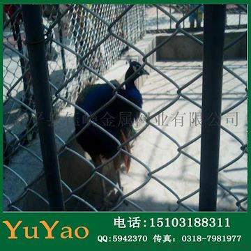 钰峣 绿化铁丝网/山体防落勾花网/养殖网/环链勾花网/活络勾花网