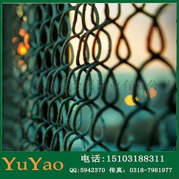现货供应PE镀锌PVC勾花护栏网 质优价廉 支持定做